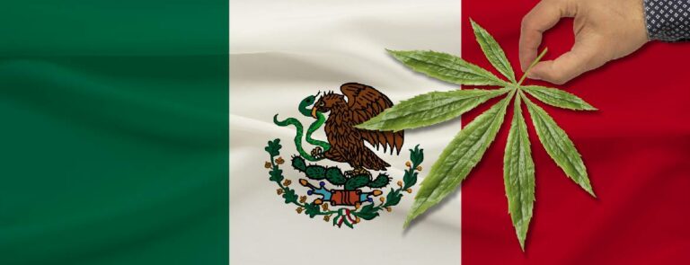 Mexico Legalizes the Production Consumption and Distribution of Marijuana