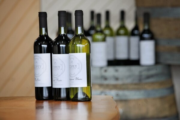 Tico Company Produces 100% National Wine and Gooseberry Liquor with a Vineyard in Copey de Dota