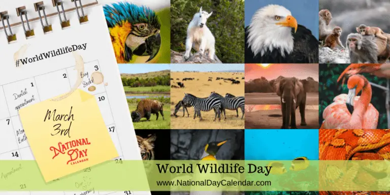 March 3rd: “World Wildlife Day”, A Date for Global Reflection