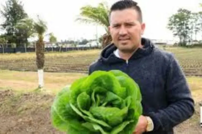Cartago Entrepreneur Creates Horticultural Company From Scratch and Now is About to Export Products