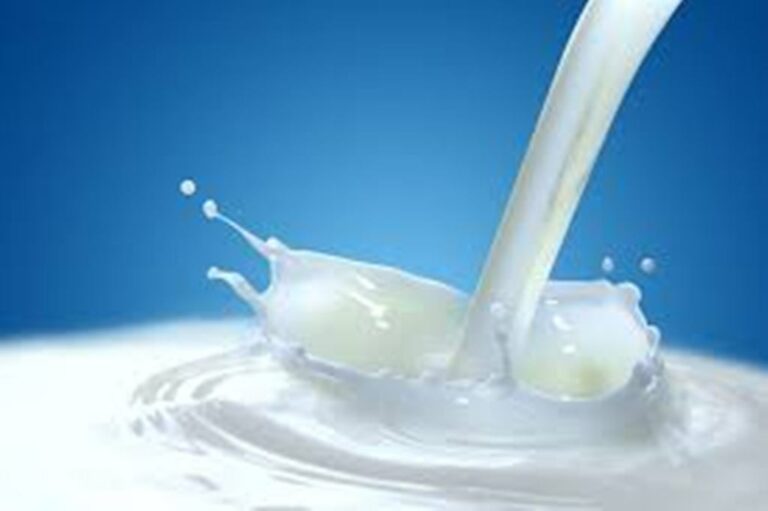 Get to Know the Nutritional Properties of Milk