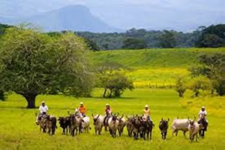Discover Wonders of Costa Rica with the Tourist-Cultural Guides