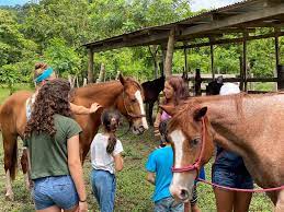 In Costa Rica, Horses Heal Pain and Sadness