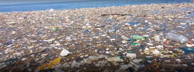 Tons of Plastic Floating in the Sea Was Discovered In the Caribbean