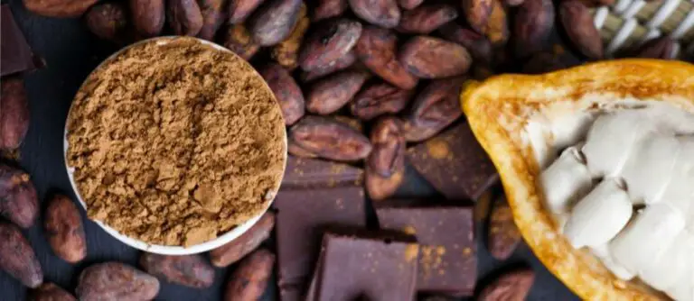 Belgian Company Highlights Costa Rican Cocoa In Fair Trade Program