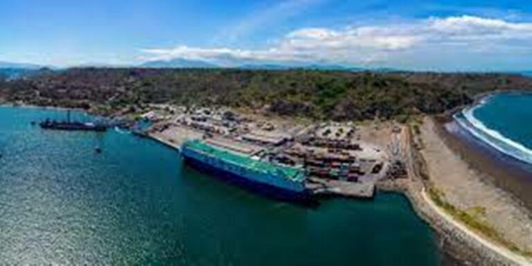 Congestion in Ports on the US West Coast Challenges Costa Rican Exporters