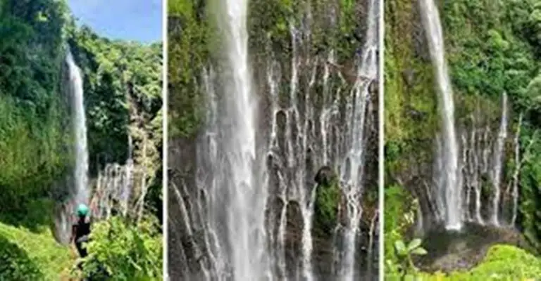 One Of The Seven Costa Rican Wonders! Get To Know “Las Cortinas” Waterfall