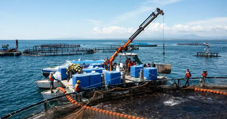 Costa Rican Worldwide Company Conditions Quepos Dock