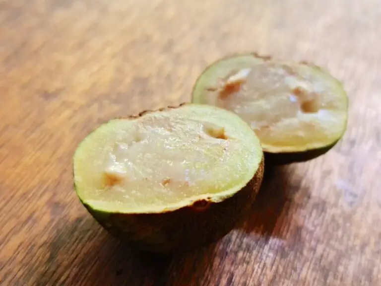 “Cas”, A Delicious Typical Fruit Of Costa Rica