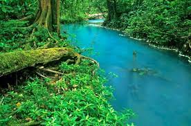 Get To Know the Crystal Clear River That Turns Turquoise in Costa Rica