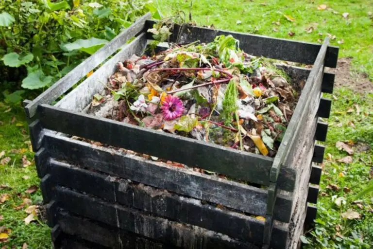 Municipality of Desamparados Launches Web Portal for Composters