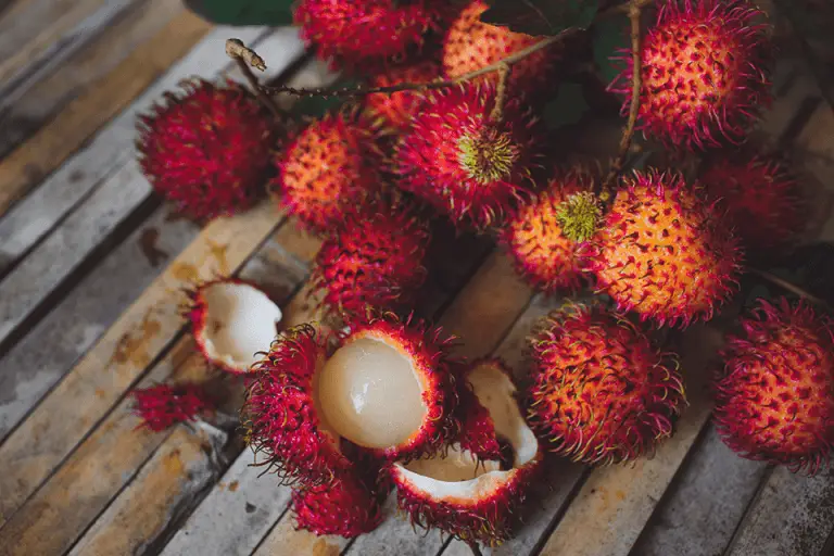 Have You Tasted These 5 Delicious Exotic Fruits From Costa Rica?