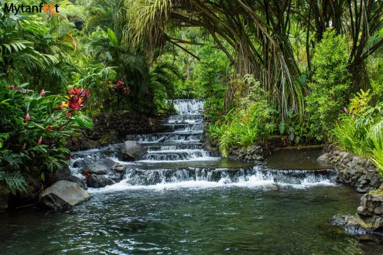 Relaxing Natural Springs in Costa Rica