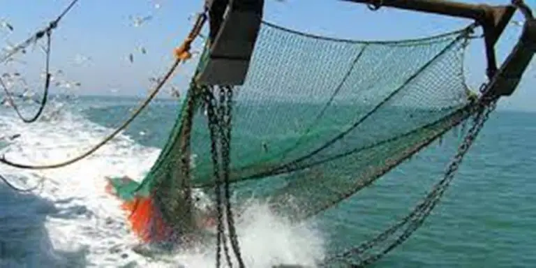 Motion That Would Revive Trawl Fishing In Costa Rica Would Not Have A Backing In the National Assembly