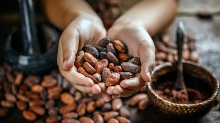 Costa Rican Indigenous Women Awarded for Producing Sustainable Cocoa