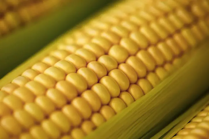 Corn: A Delicious Typical Food Product with Many Health Benefits