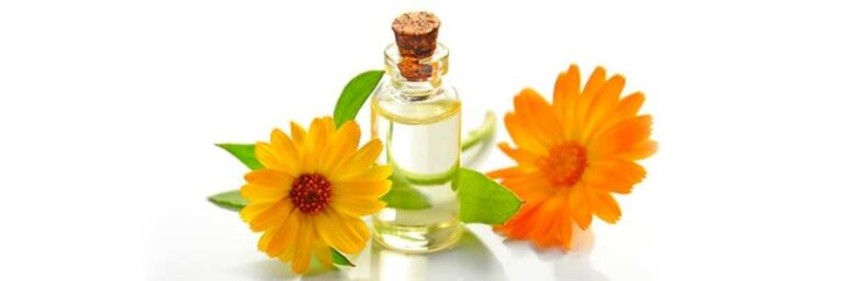 Aromatheraphy: Essential Oils With Relaxing Properties for Our Body