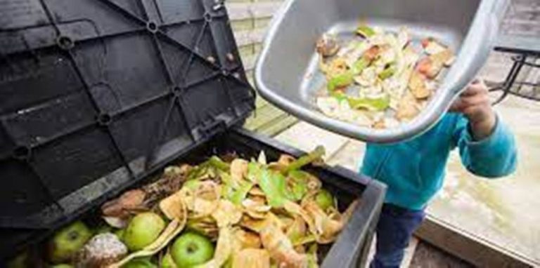 Solutions to Food Waste Are Wanted and Needed in Costa Rica