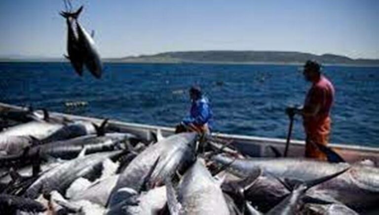 Costa Rica Enters the List of Illegal Fishing Countries, Without Reporting and Regulation