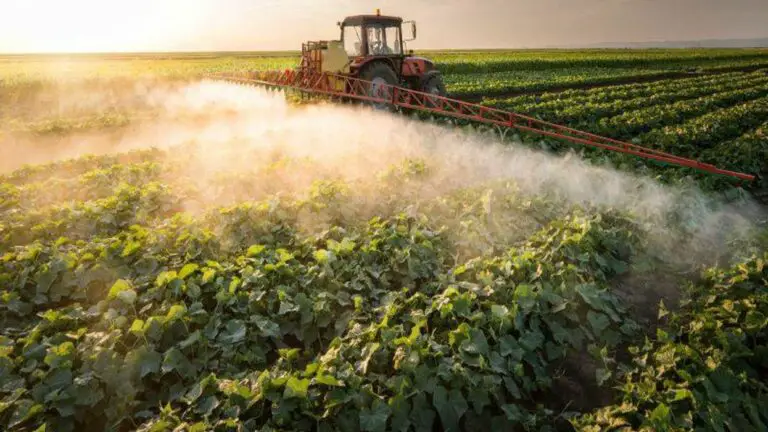 U.S. Authorities Ban Use of Pesticide Linked to Neurological Damage in Children