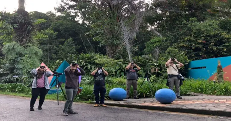Costa Rica Promotes Birdwatching Tourism Among the Press and International Influencers
