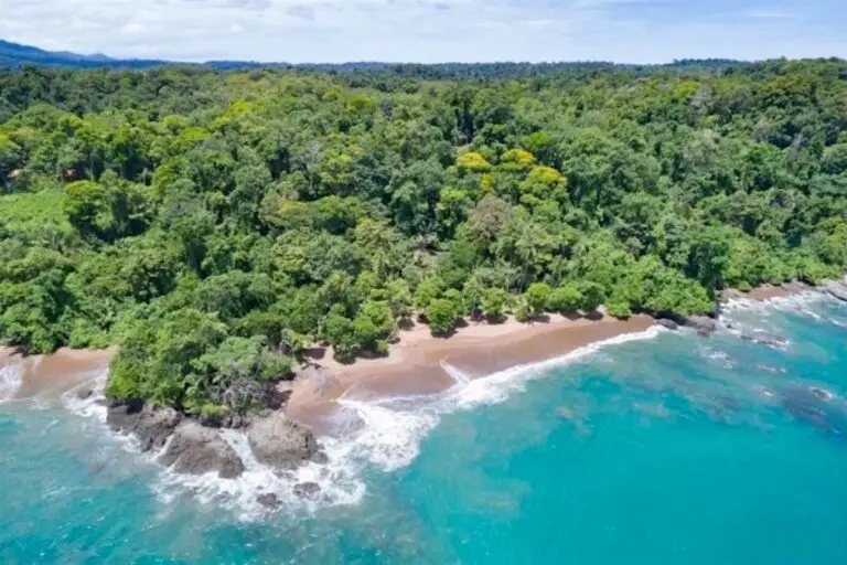 26 Curiosities about Costa Rica