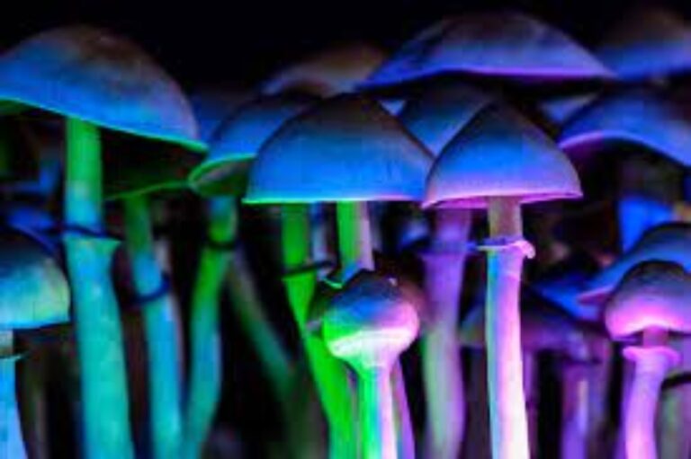 “Magic Mushrooms”: Psychedelic Effects To Treat Mental Health?