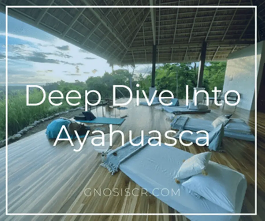 ayahuasca costa rica
https://gnosiscr.com/