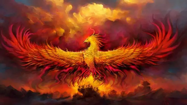Phoenix Bird: What It Means and Why It Is Related to Resilience