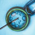 Is There Hope After IVF 4 Reasons to Consider Frozen Egg Donation for Building Your Family 2021