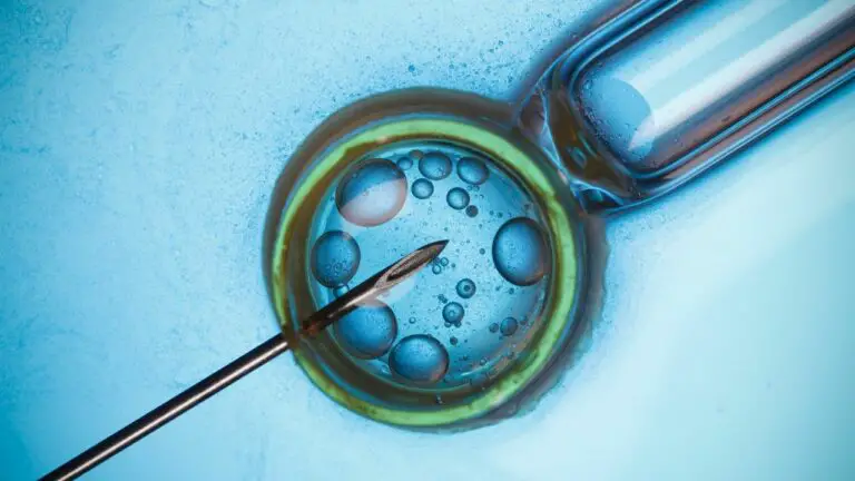 Is There Hope After IVF? 4 Reasons to Consider Frozen Egg Donation for Building Your Family
