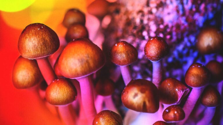 Medical Benefits of Magic Mushrooms