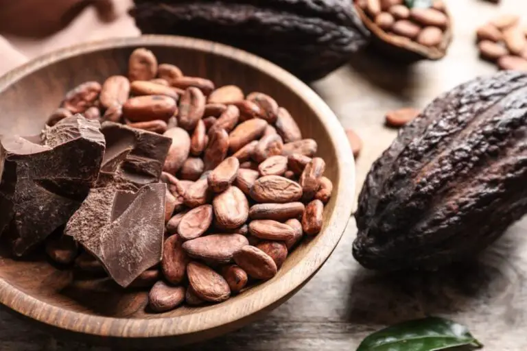 Medicinal and Ritual Uses of Chocolate in Mesoamerica
