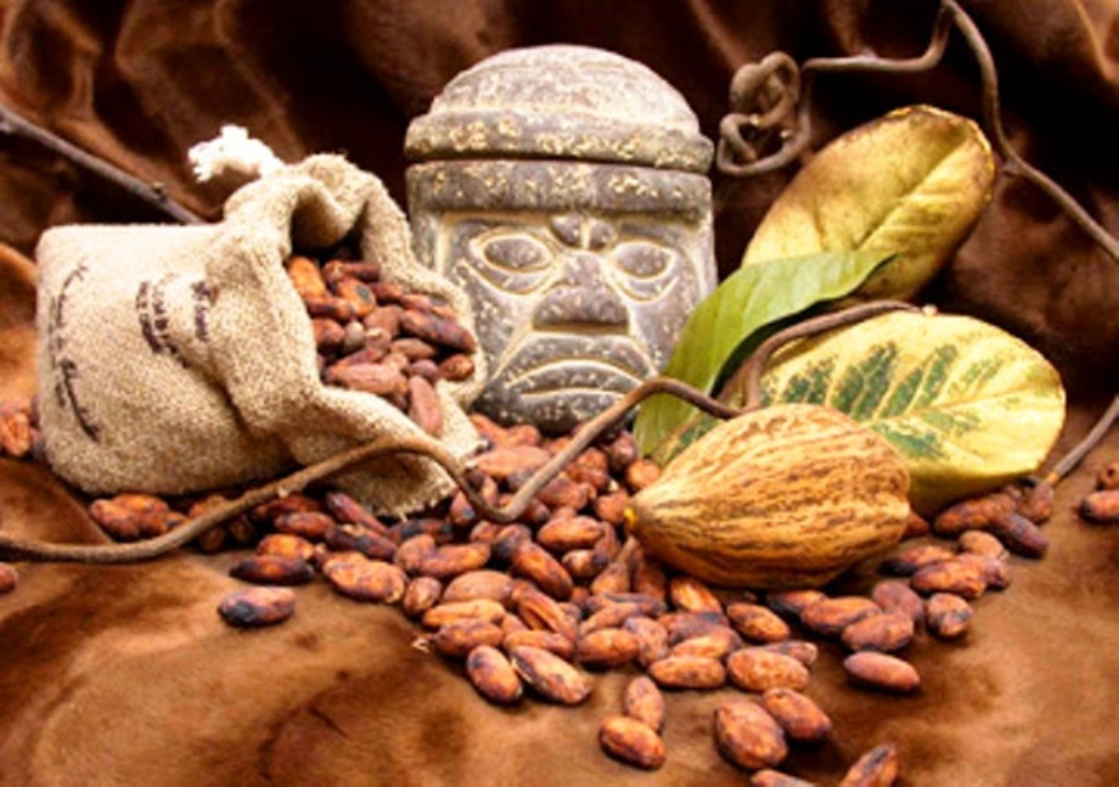 Cocoa is the Ancestral Treasure Seeking to Resurface in costa Rica