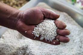 Rituals with Rice to Attract Money and Prosperity