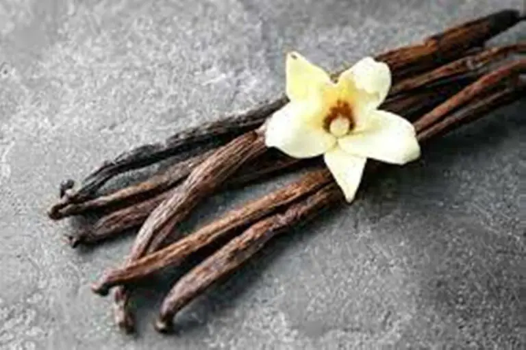 Properties, Benefits, and Uses of Vanilla