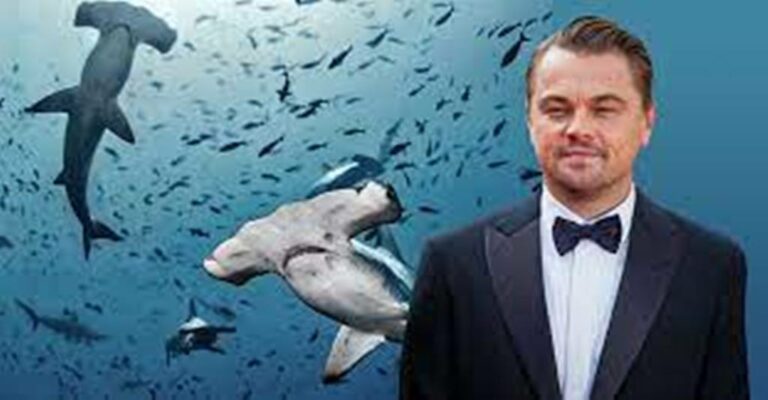 Leonardo Di Caprio Spent “The Best Days Of His Life” On Cocos Island