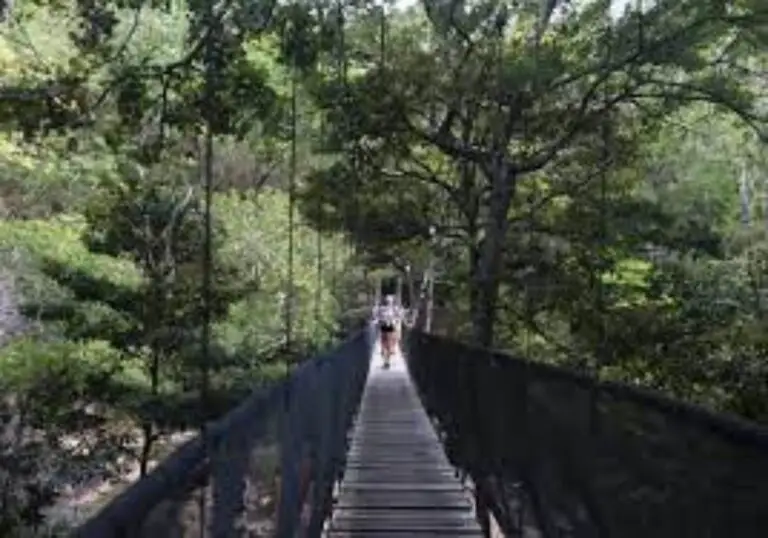 Take a Tour of the Irresistibly Wild Side of Costa Rica!