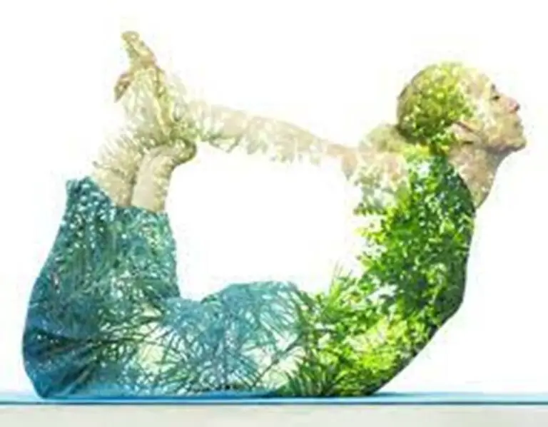 The Wellbeing Revolution: From Wellness to Wellbeing