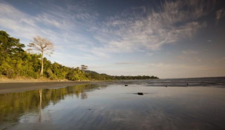 National Geographic Dedicates an Extensive Report to the Osa Peninsula in Southern Costa Rica