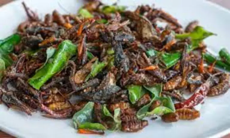 European Union Supports the Sale of Insects as Food