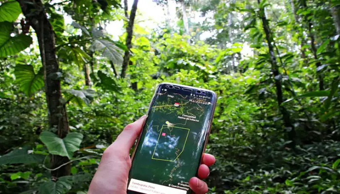 Artificial Intelligence Will Become an Ally to Combat Illegal Logging in Costa Rica