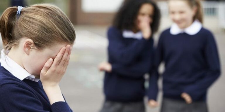 Crucial Aspects of Bullying or Harassment