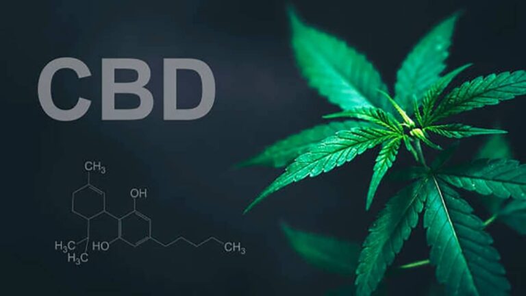 CBD and its Benefits for Mental Health