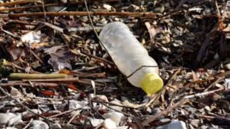 UN Countries to Develop First Global Treaty Against Plastic Pollution
