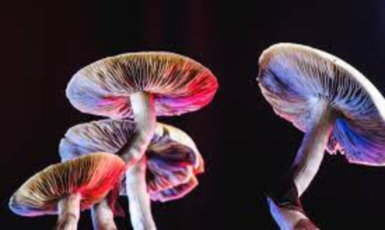 Are Psychedelics a Powerful Therapy for Mental Health?