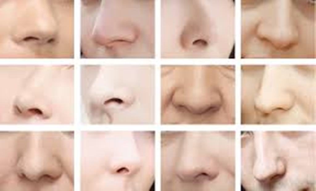 What Are The Different Types Of Nasal Surgery