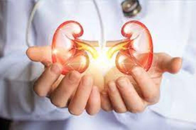 The 8 Golden Rules to Take Care of Our Kidneys