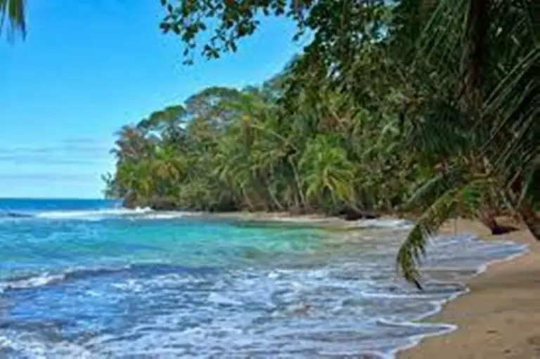 The Best Beaches in Limón, Costa Rica