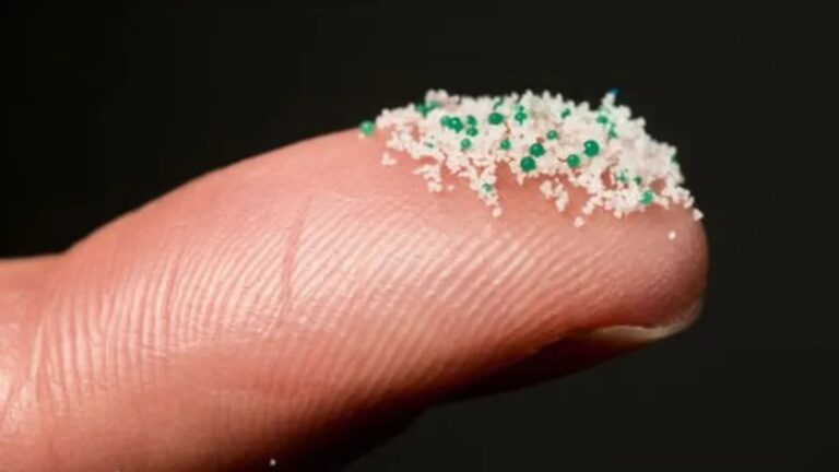It Is Not Clear Yet How Microplastics Can Affect Health